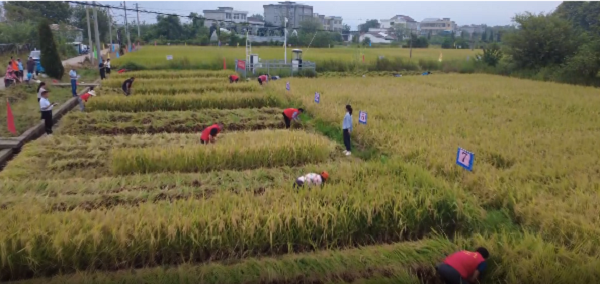 ػ̻ͤ᣺ԪܻΪչעЭ